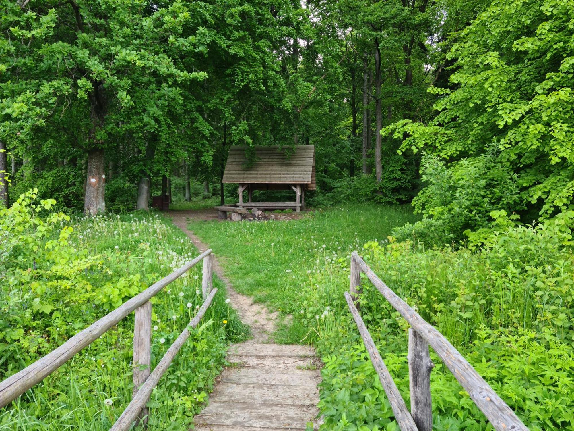 Na Wzgorzu Boho-jacuzzi, Sauna, Survival, Free Parking Apartment